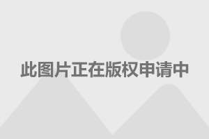 上海最新社保政策2017-2017年上海社保新政解读