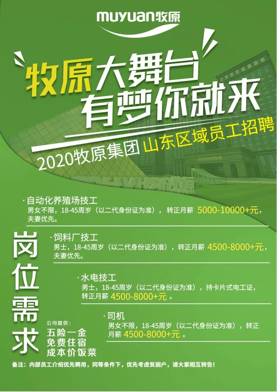 东营最新会计招聘信息，东营会计职位最新招聘资讯